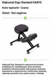 Klesiadlo Krzesło Ergonomiczne idealne dla osób przed komputerem