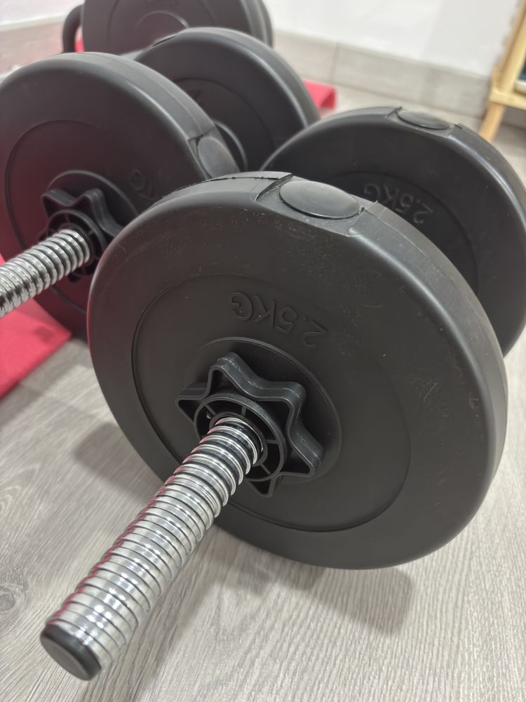 Barra e halteres musculacao