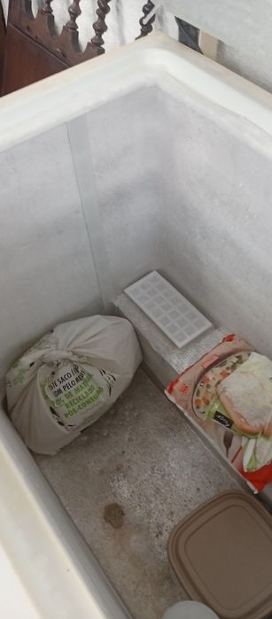 troco arca congeladora perfeita por frigorífico vertical