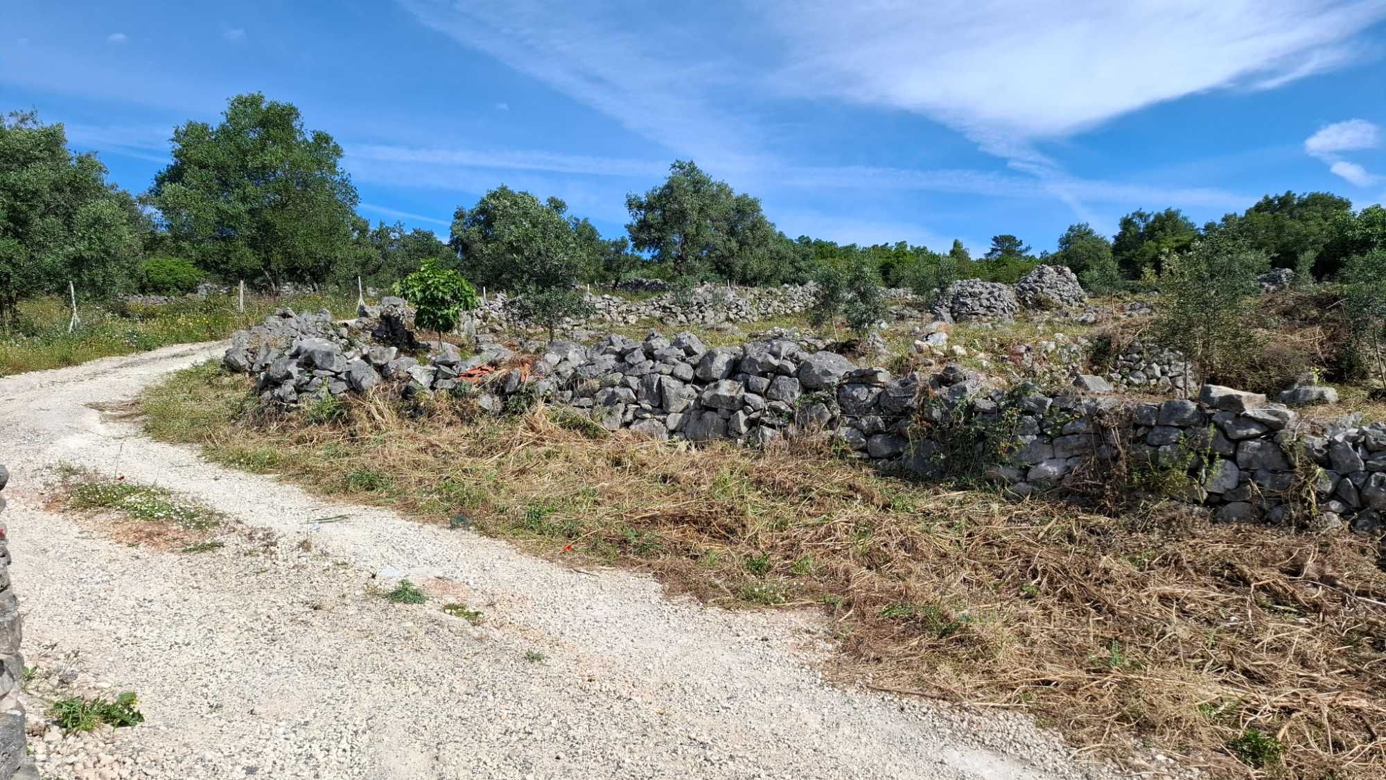 Terreno Rural, para venda nos Casais da Moreta. Monsanto ACN Santarém.