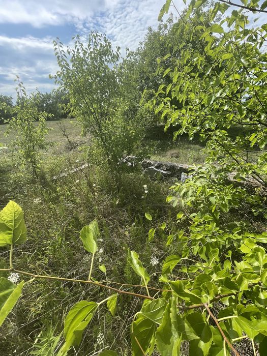 Продаж земельної ділянки Ліщин