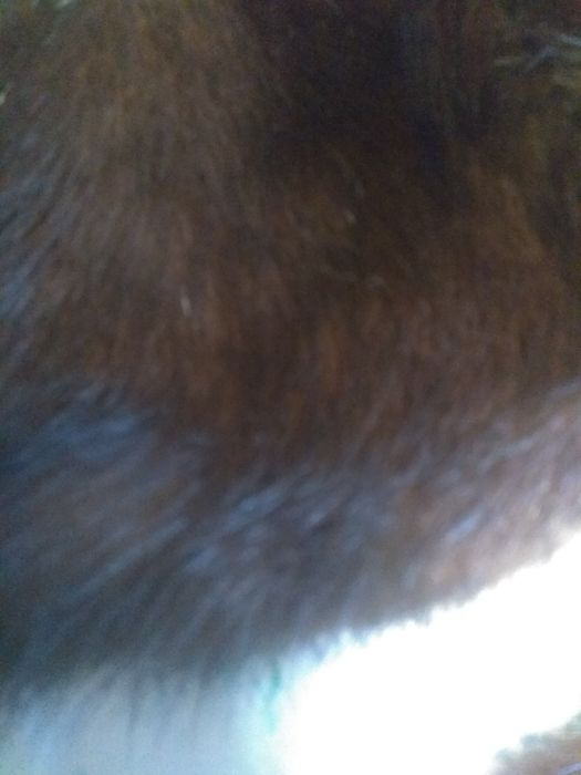 Воротник с манжетами из норки