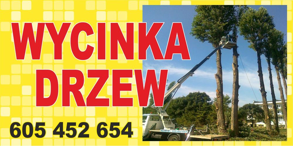 Wycinka drzew - podnośnik
