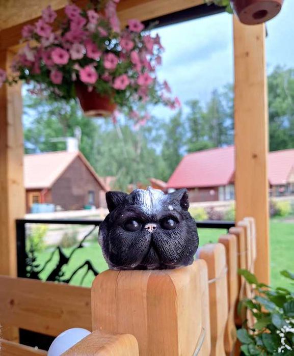 Świeca kot egzotyk Kot Perski Persian Cat 370g, duży, sojowy, handmade