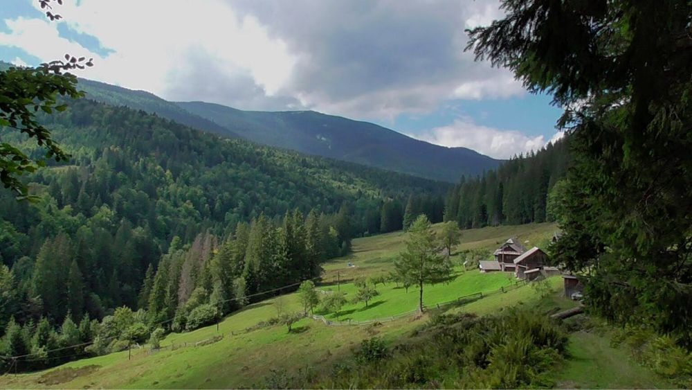 TAXI, ТАКСІ, Трансфер, пасажирські перевезення, Заросляк Говерла