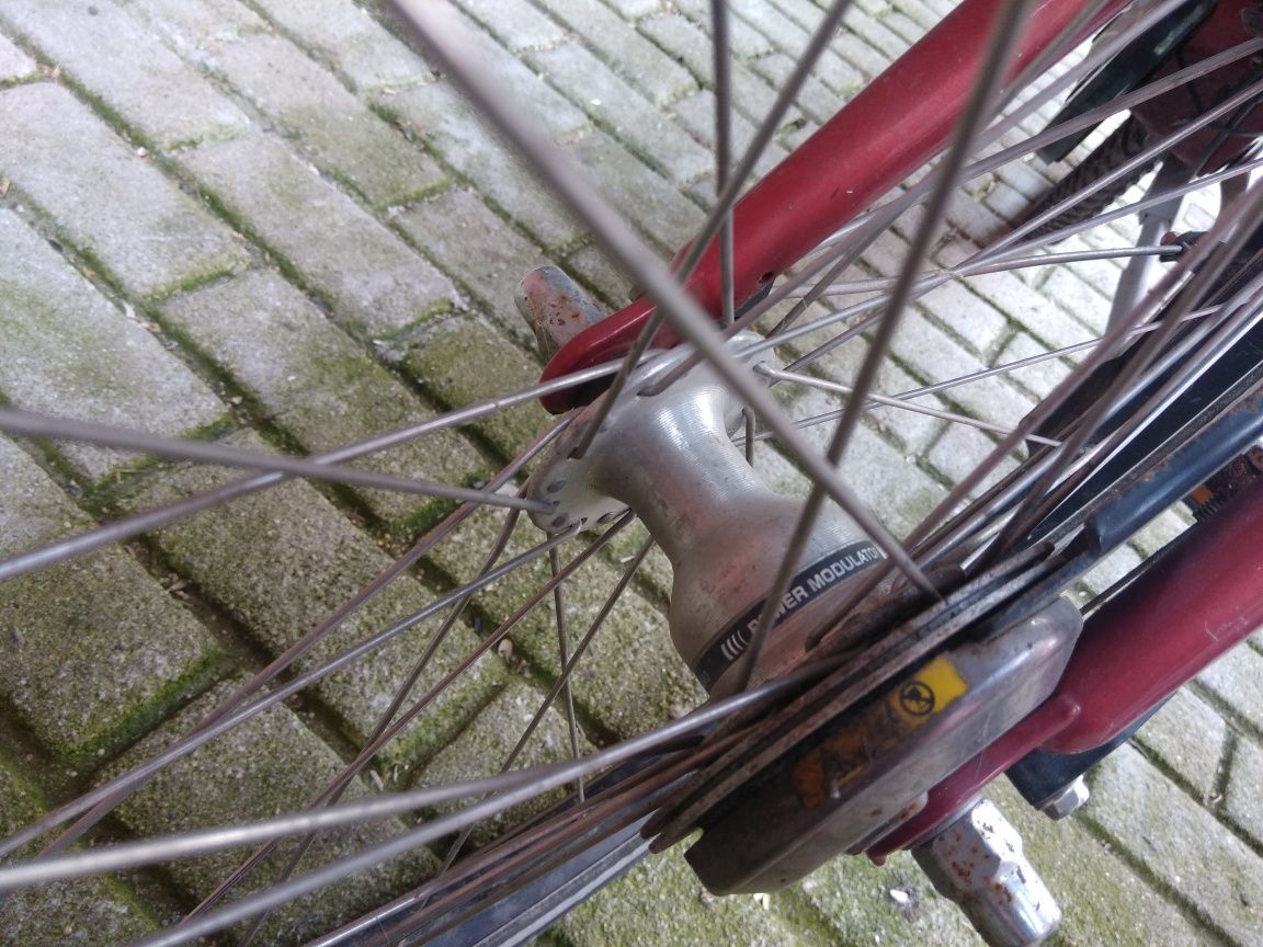 Bicicleta holandesa