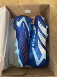 Buty piłkarskie adidas Predator Accuracy.1 FG