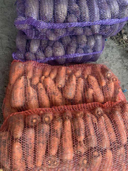 Продам моркву,буряк,капусту