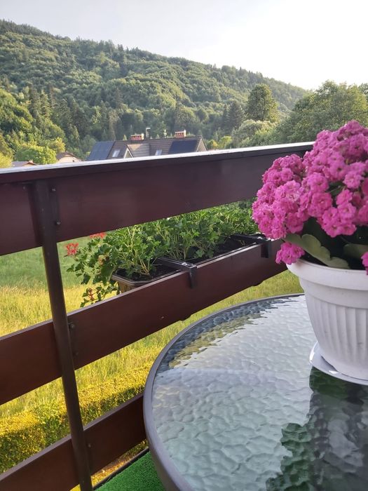 Noclegi" Brenna U Podnóża Kotarza