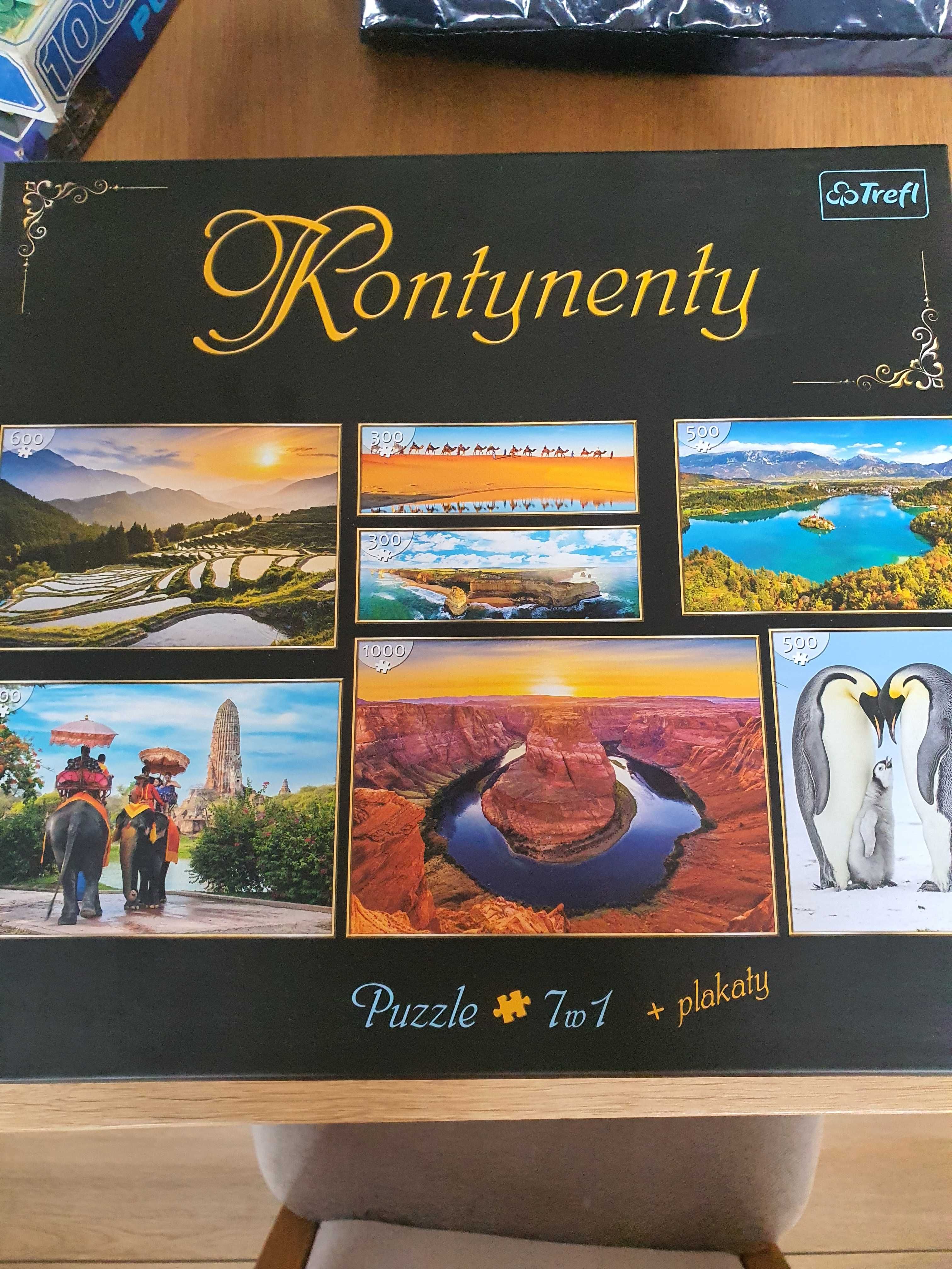 Puzzle Kontynenty 7w1