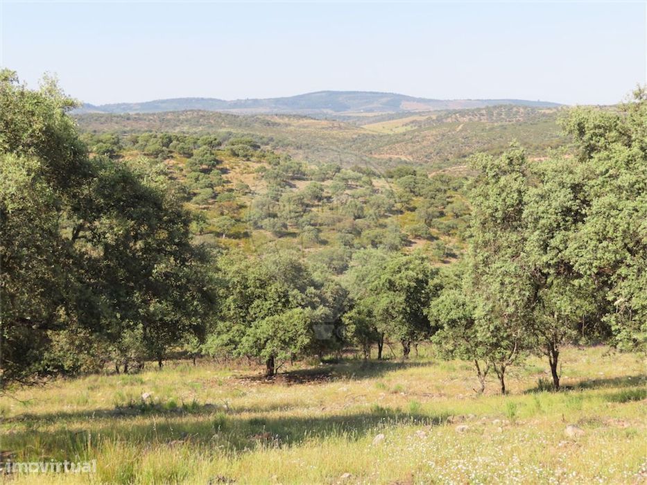 Quinta  para venda