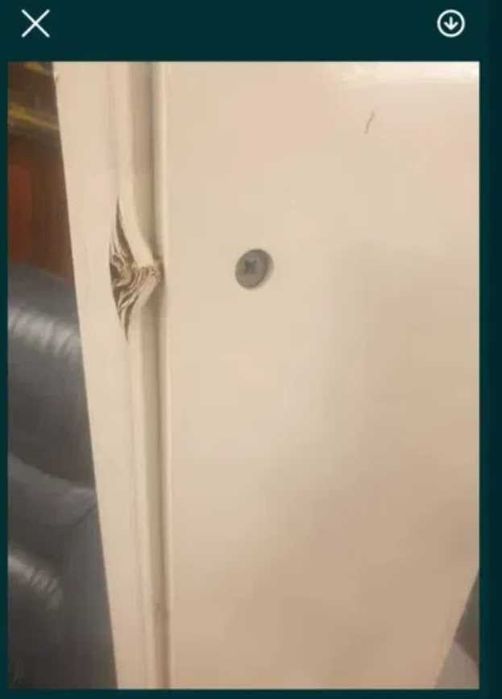 Cama berço Trama convertível