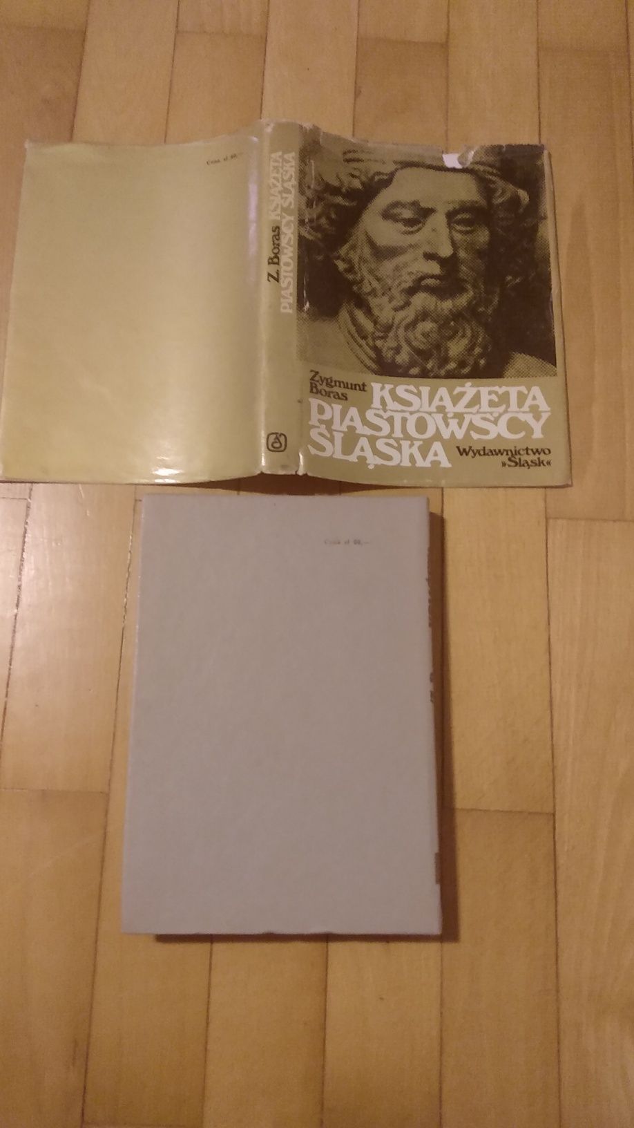 Książęta Piastowscy Śląska Zygmunt Boras Wydawnictwo Śląsk