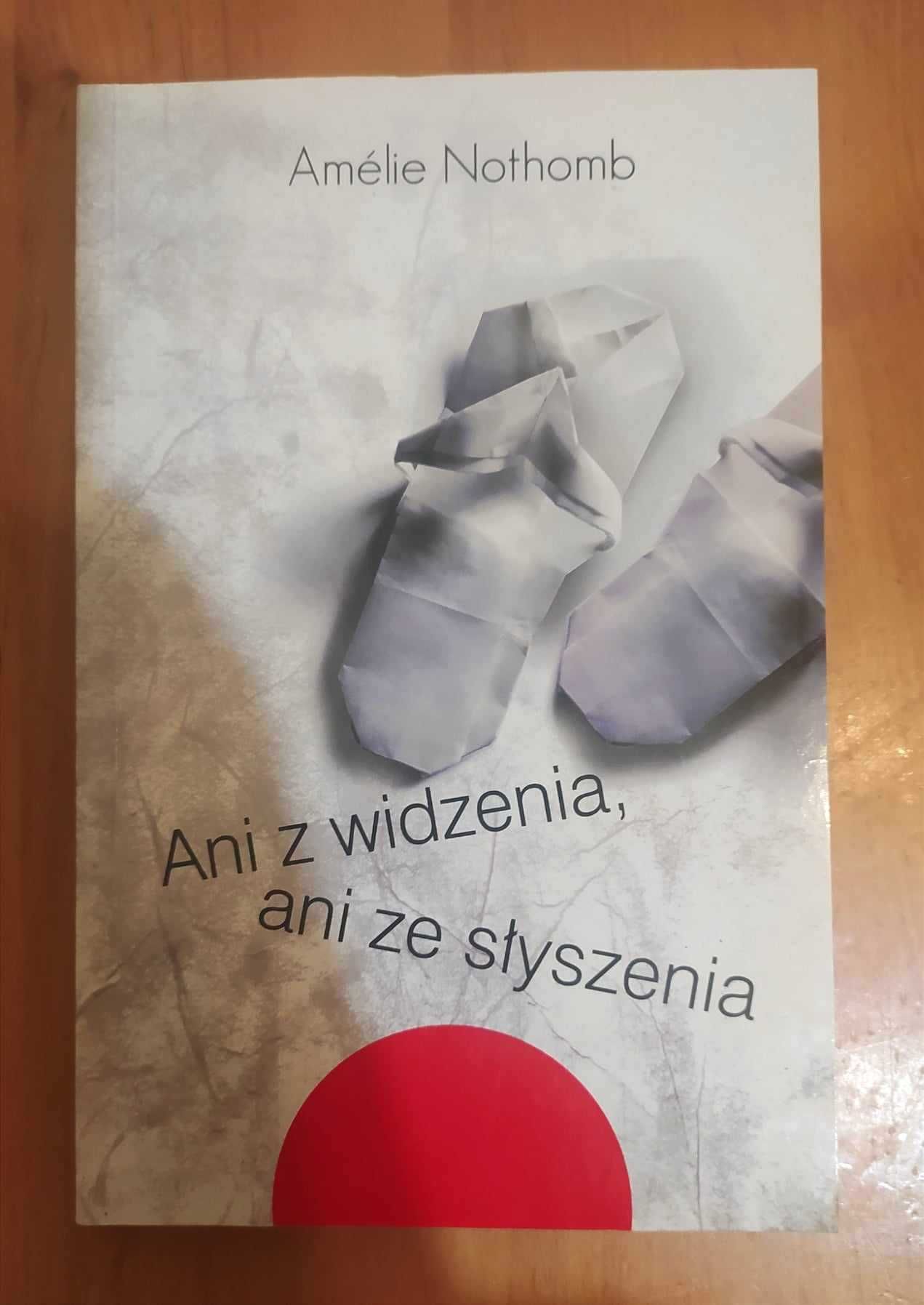 Metafizyka rur, Kwas siarkowy, Ani z widzenia - Amélie Nothomb