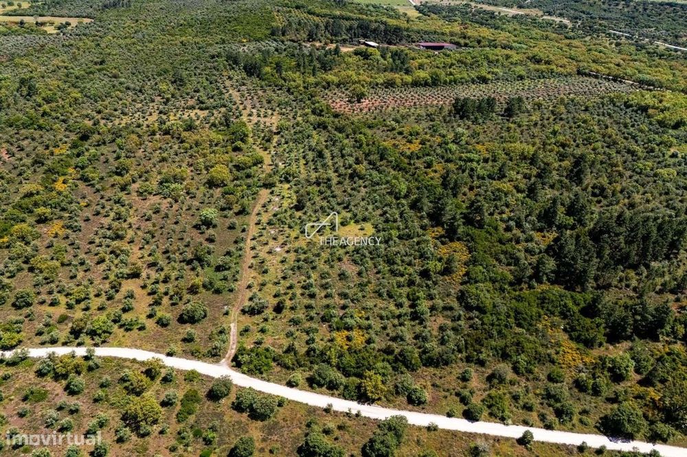 Terreno Multifuncional para Turismo e Agricultura no Coração do Alente