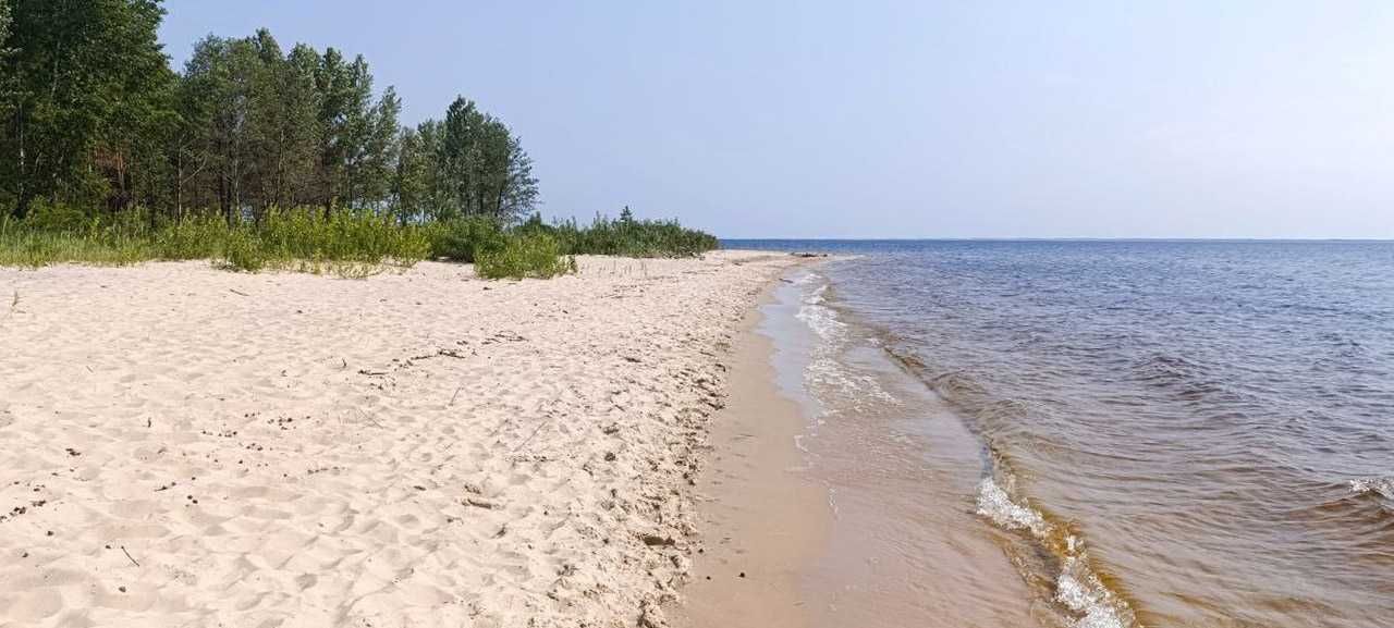 Старі Петрівці 10 соток з Чудовим будинком 130м2