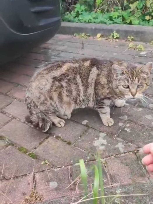 BASIA całe życie nikogo nie obchodziła