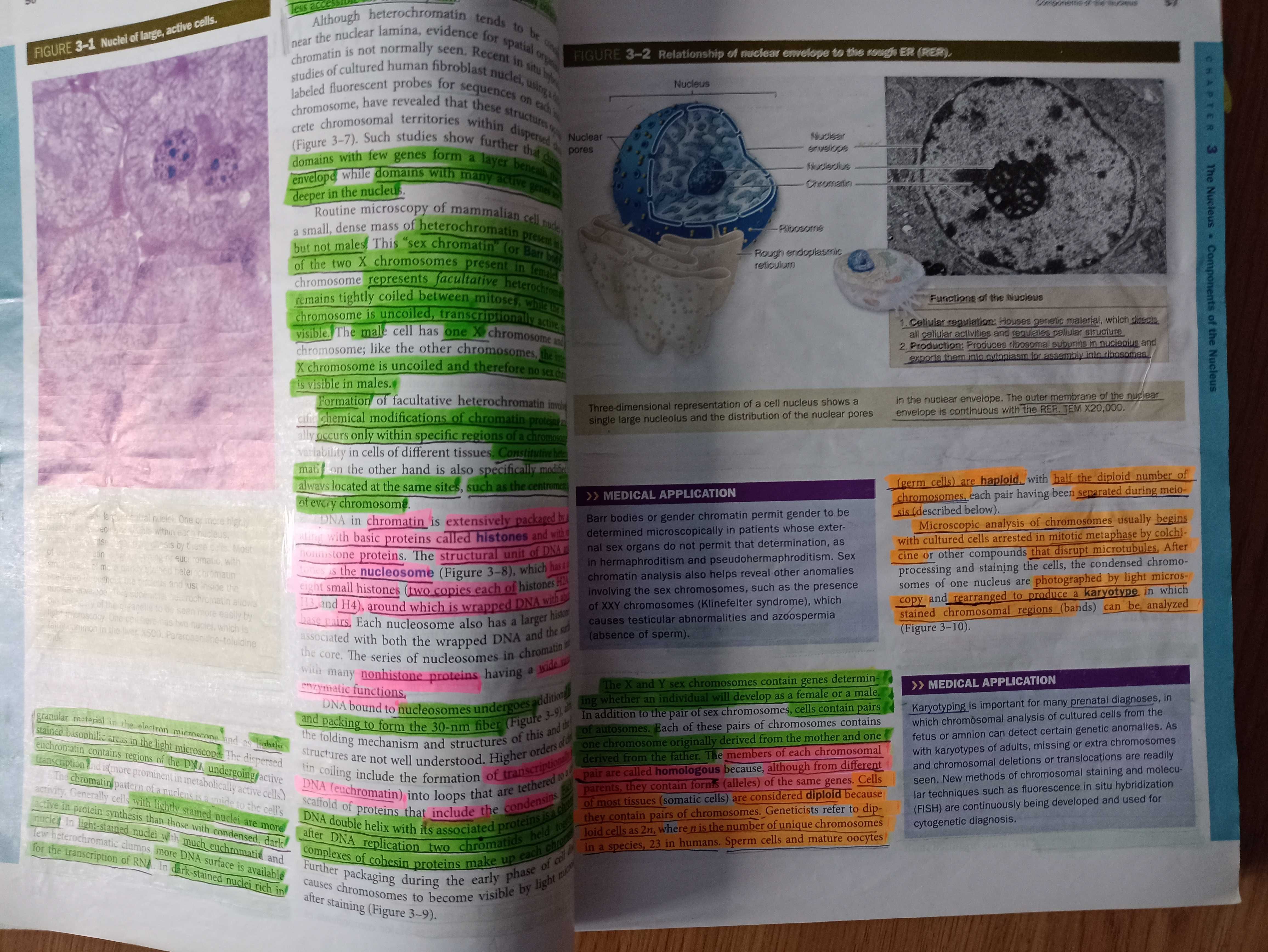 JUNQUEIRA'S BASIC HISTOLOGY text and Atlas Mescher Histologia TANIO