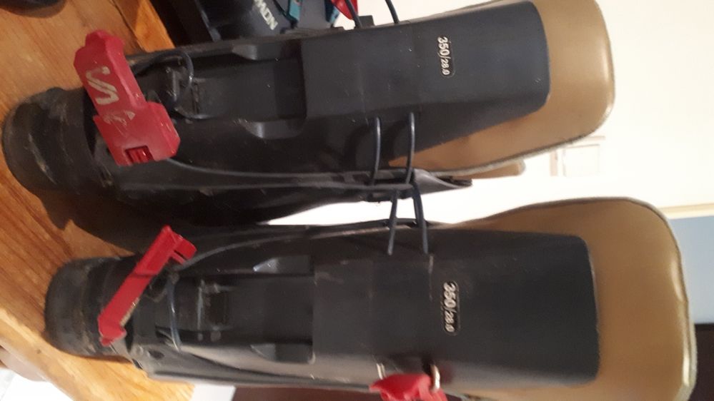 Botas de ski