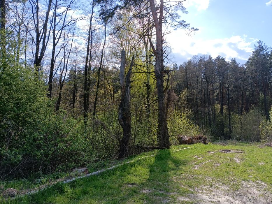 Продаж будинку в Гореничах