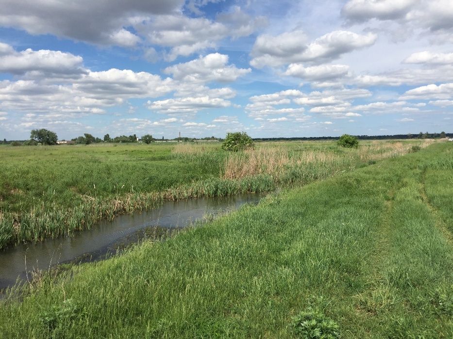 Продаю участок в с. Селичёвка Барышевский район Киевская область.