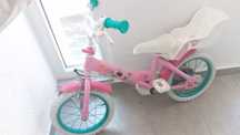 Bicicleta da Disney