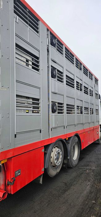 Samochód do przewozu zwierząt