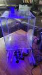 akwarium kostka AQUAEL Shrimp Set 30L Czarny