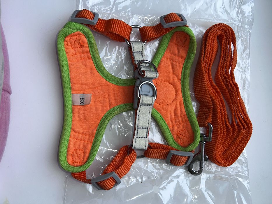 Повідок для котика