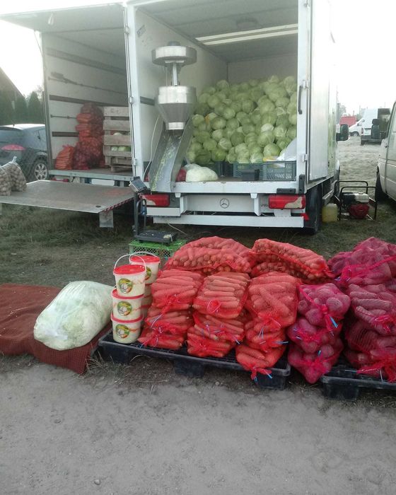 Kapusta szatkowana od lokalnego producenta DOSTAWA 24h