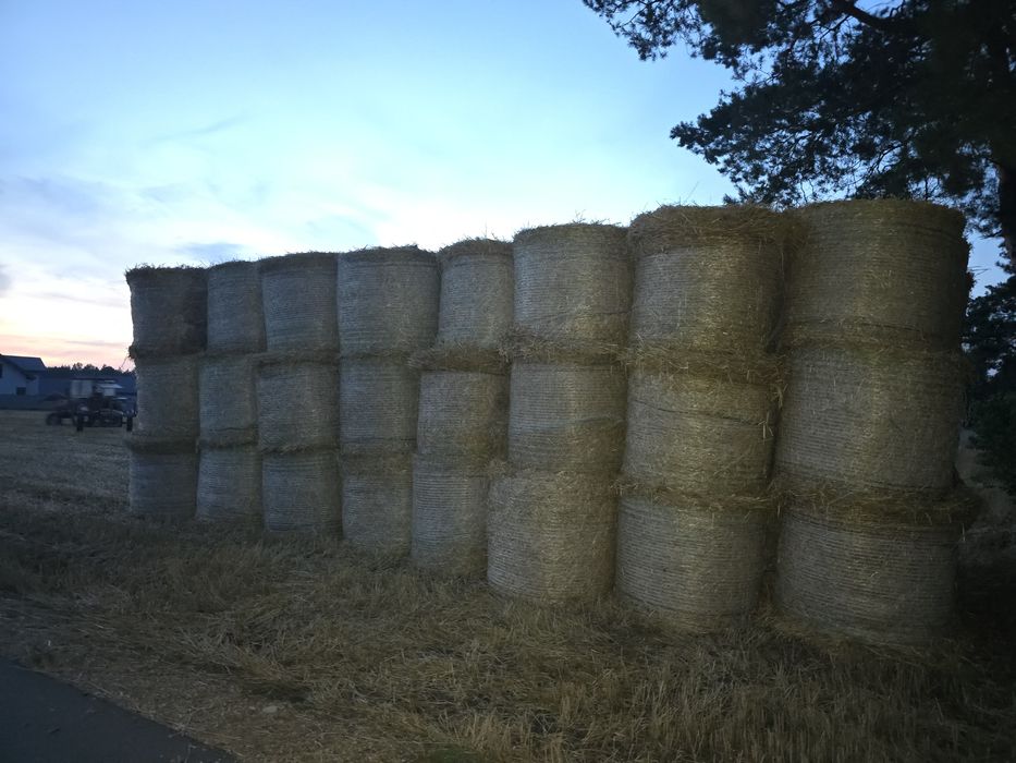 Słoma żytnia,  w belach krone 130, Transport do ustalenia