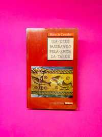 Mário de Carvalho
UM DEUS
PASSEANDO PELA BRISA DA TARDE