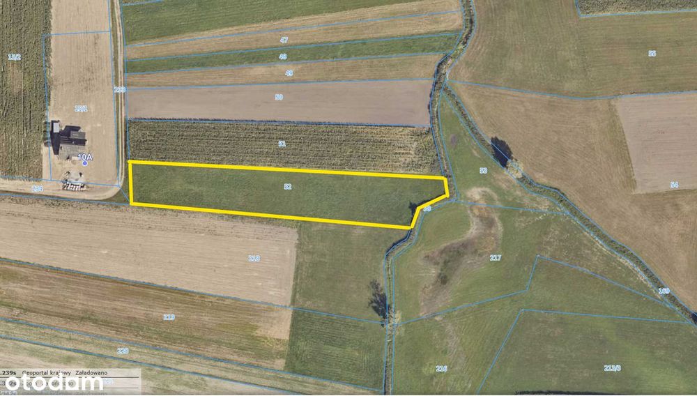Działki rolne - Trzemeszno koło Krotoszyna - 0,8715 ha