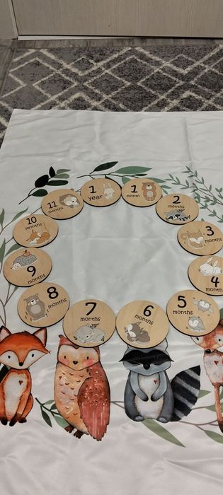 Набір дерев'яних карток для дитячої фотосесії по місяцях 12 штук