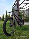 Dartmoor hornet 27.5 fox34 dirt dual street