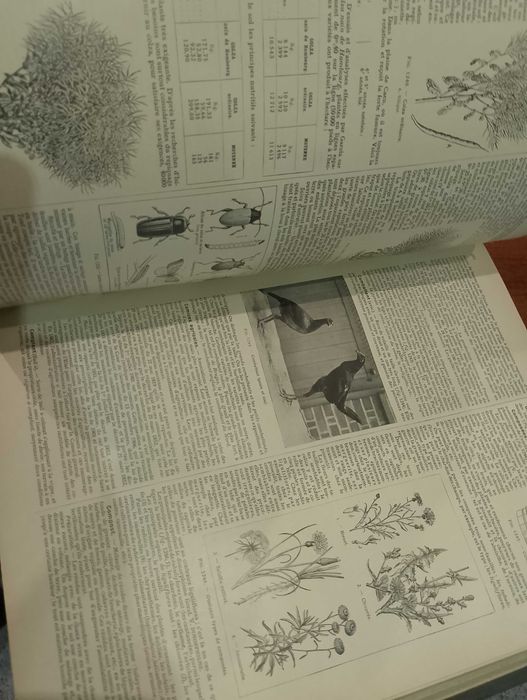 Enciclopédia Ilustrada Larousse Agricole (Volume 1 e 2)