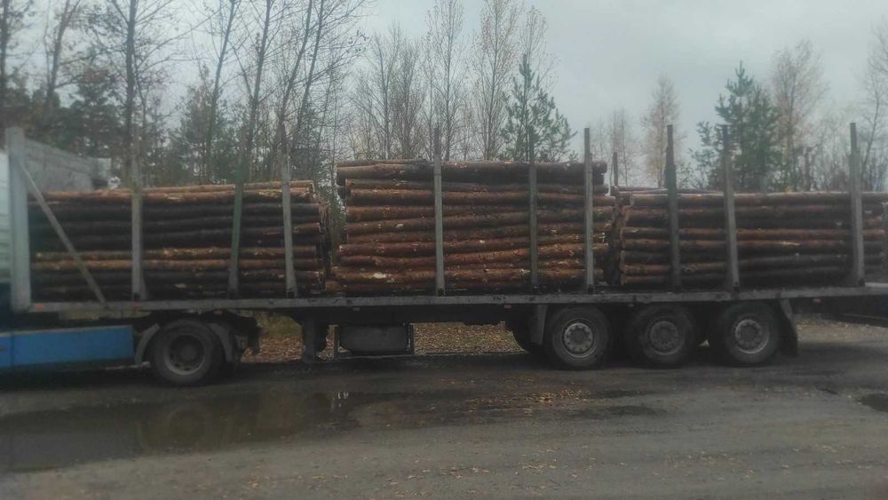 Пиловочник / лес кругляк 4м для строительства | 14-20см | есть НДС