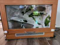 Terrarium dla węża