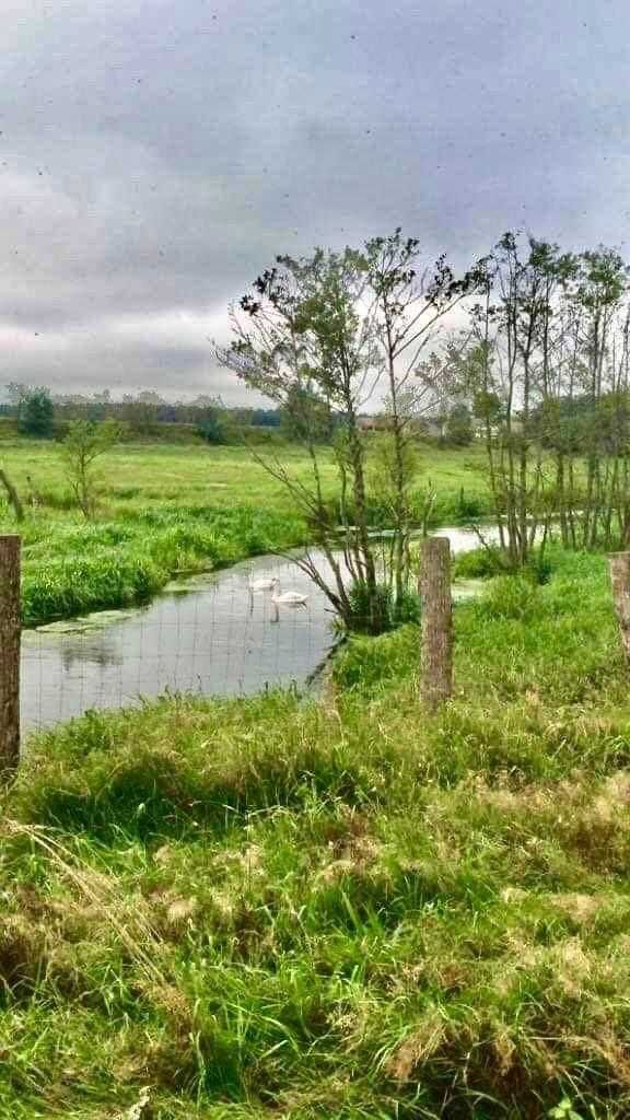 Działka nad rzeką - Bukowina - bez banku, na raty, natura i spokój