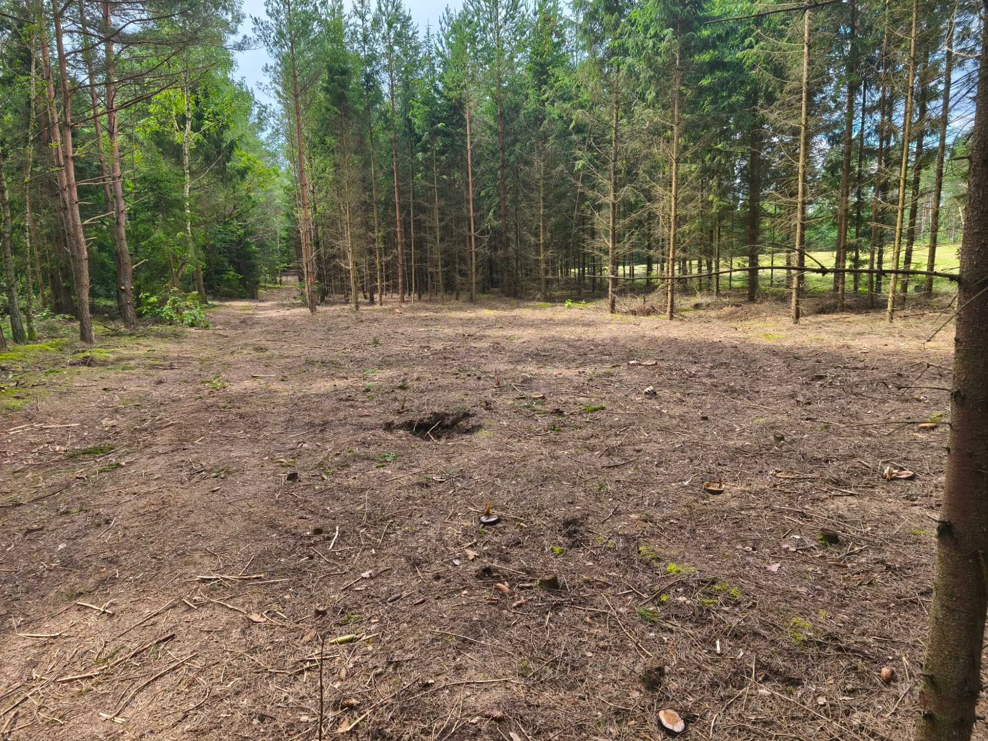 Działka 4000 m²–Szczebra, serce Puszczy Augustowskiej | WZ