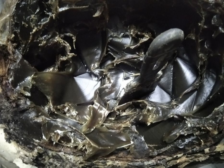 Пушсало для авто