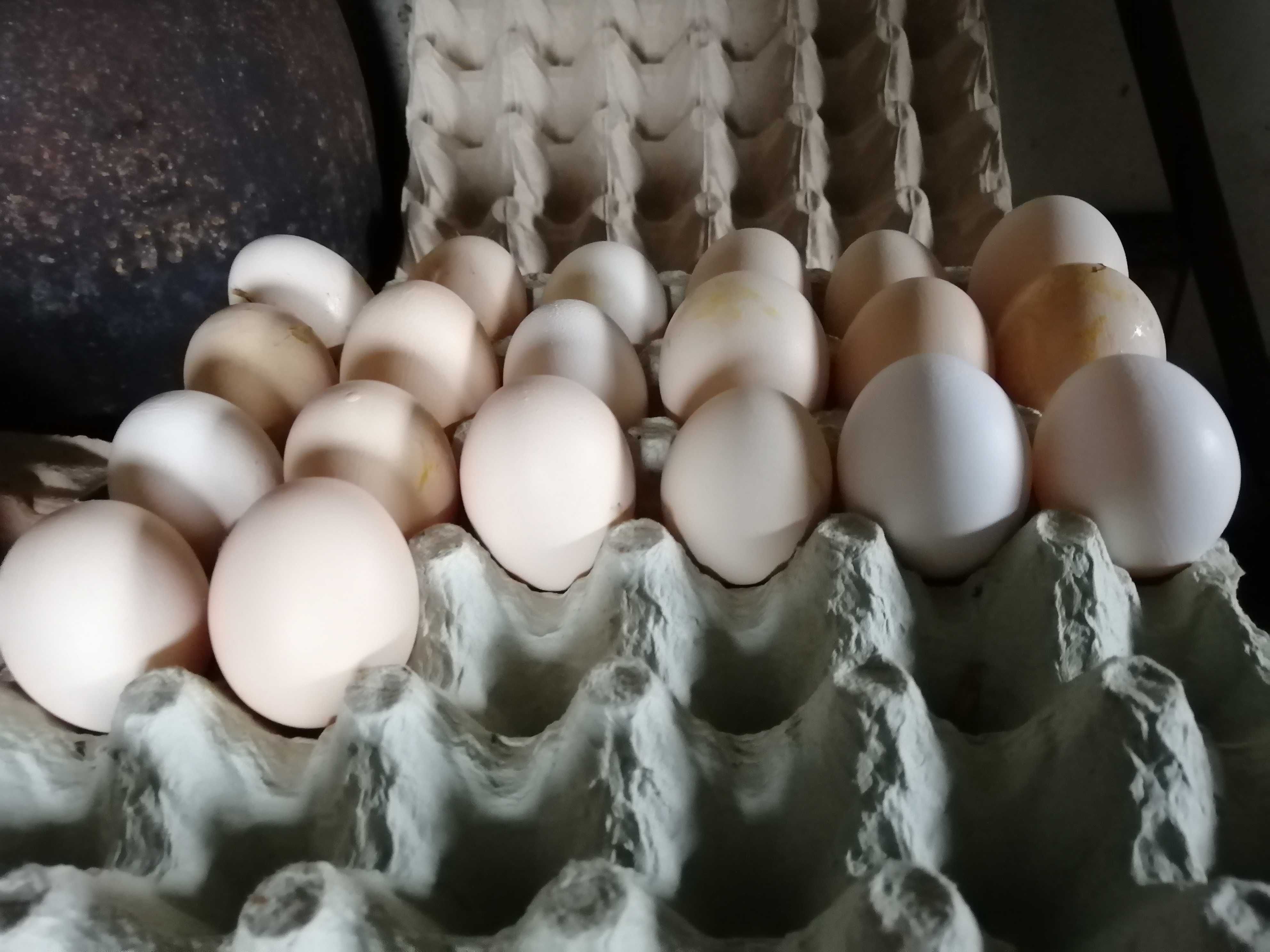 Jaja kurze wiejskie 0,90