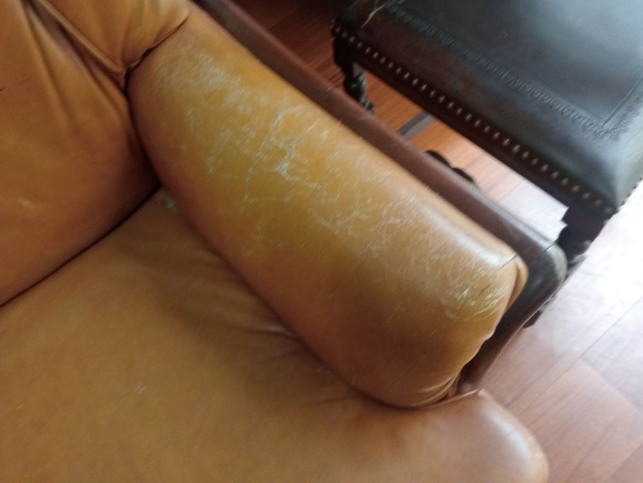 Sofá 3 lugares  e poltrona ( pele verdadeira )