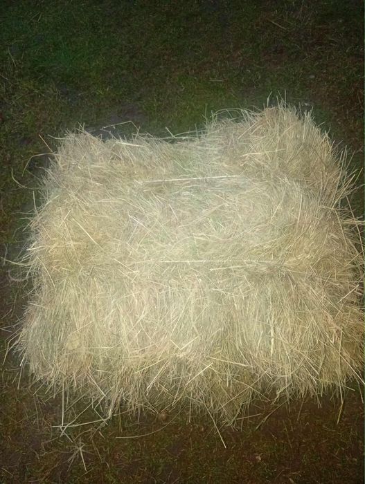 Sprzedam siano w kostkach z pierwszego pokosu 2025