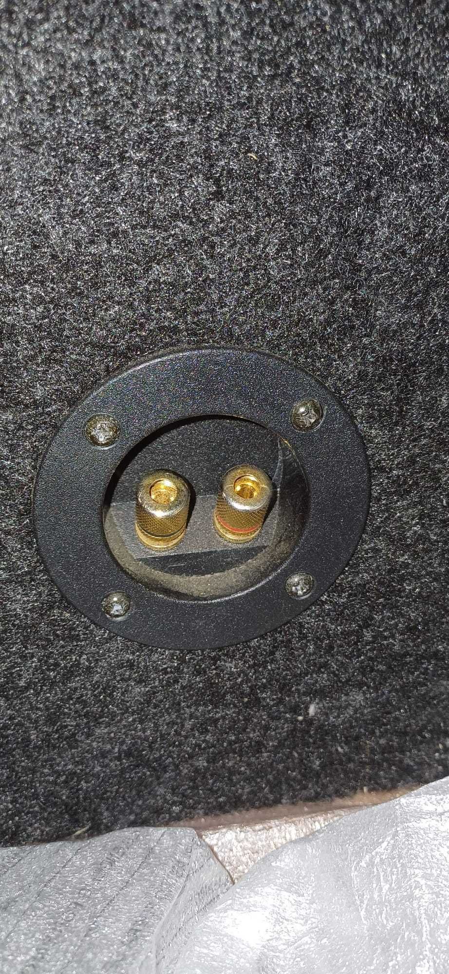 Głośnik niskotnowy/subwoofer Pioneer TS-W304C z obudową