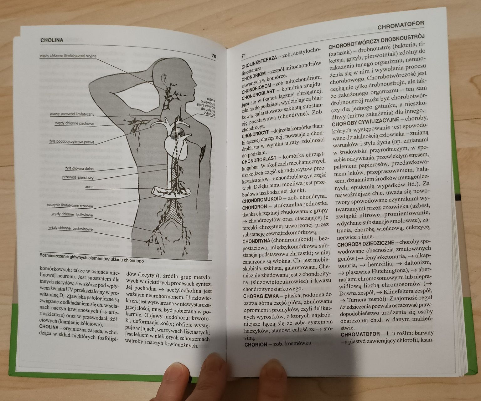 Szkolny słownik biologiczny BIOLOGIA matura rozszerzona Leszek Trząski