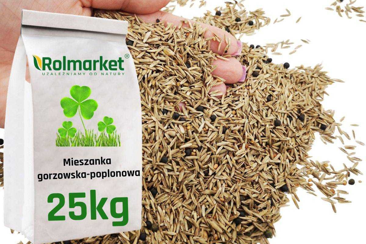 Mieszanka poplonowa Gryka Rzodkiew Nasiona Gorzowska Poplon Wysyłka