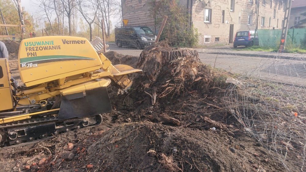 Usuwanie Frezowanie Pni Karczowanie Frezarka Karp Korzeni Drzew