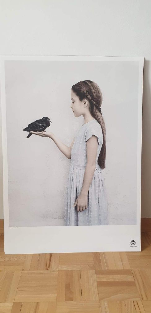 Plakat Fotografiska dziewczynka z krukiem 50x70