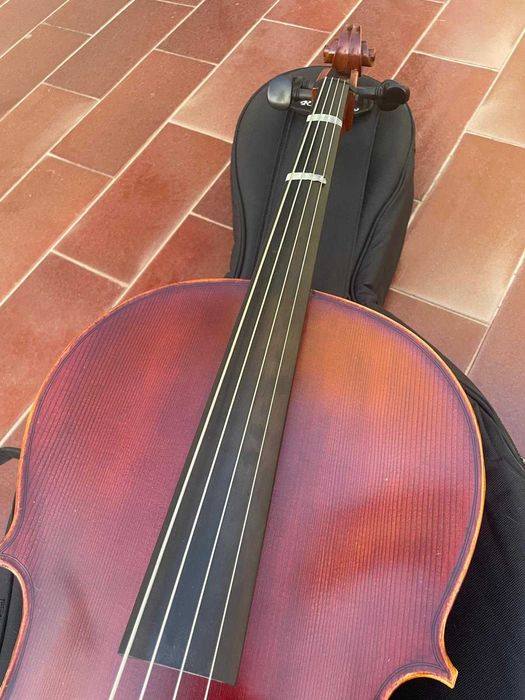 Violoncelo 1/2 com capa